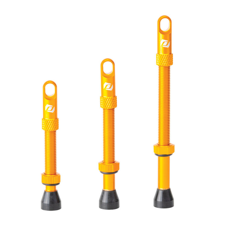 CushCore Syncros Valve Stems