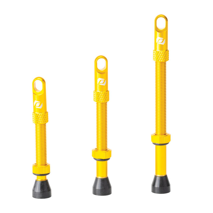 CushCore Syncros Valve Stems