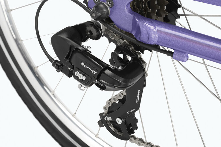 Electra Electra Townie 7D EQ Step Thru