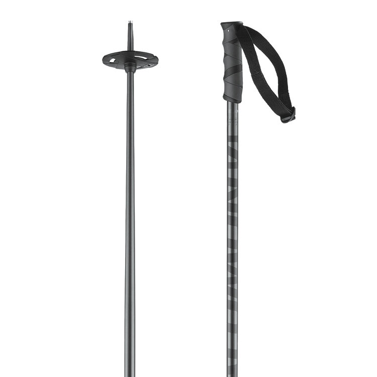 Salomon Salomon Hacker Poles