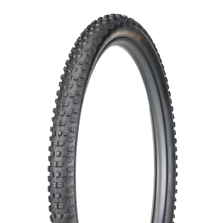 Trek Bontrager Gunnison Pro XR TLR