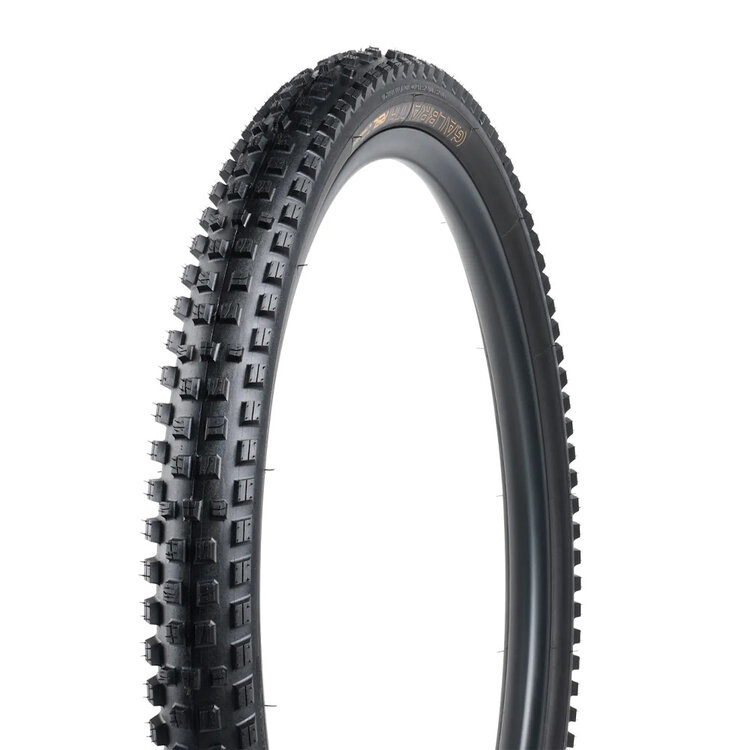 Trek Bontrager Galbraith RSL SE TLR