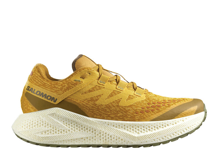 Salomon Salomon Aero Glide 3 Grvl Shoe