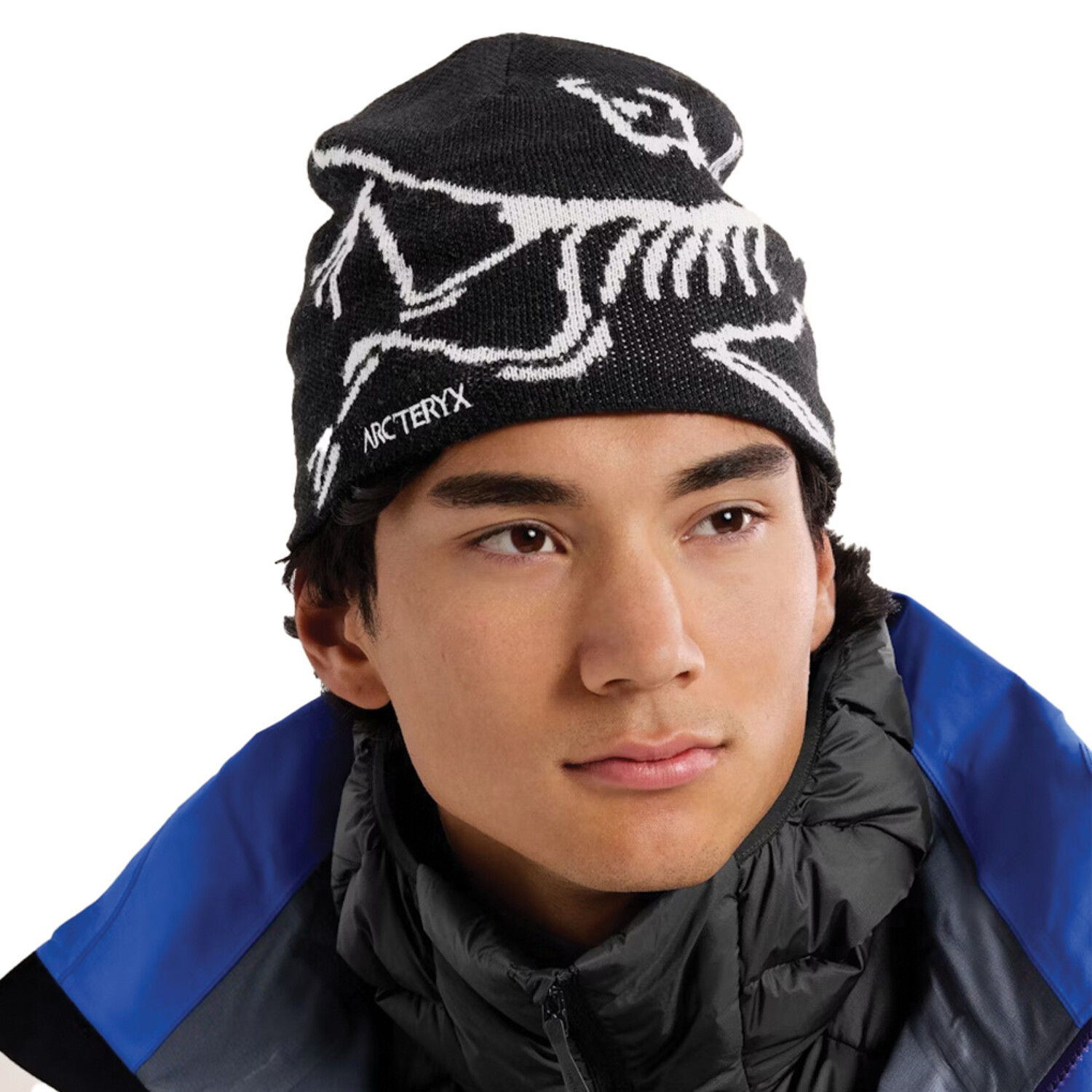 Arc'teryx Bird Head Toque - Fresh Air Kelowna