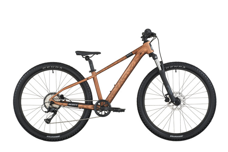 Scott Scott Roxter 600