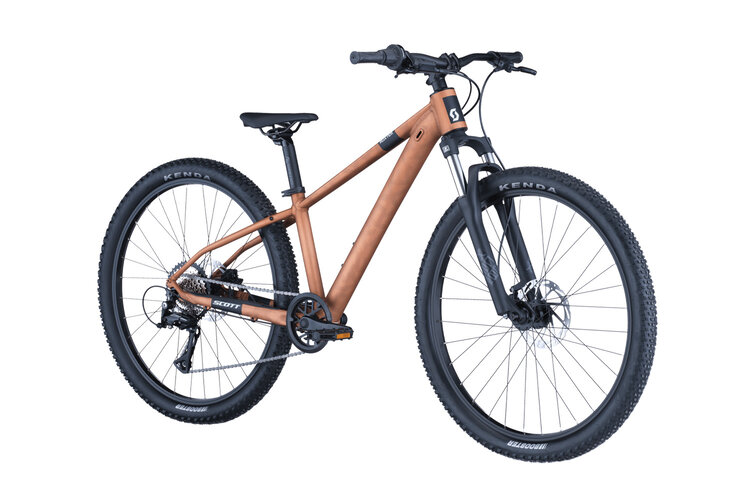 Scott Scott Roxter 600