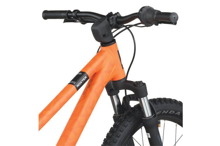 Scott Scott Roxter 200