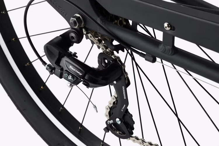 Electra Electra Cruiser 7D Step Over