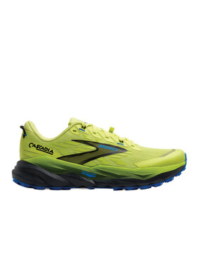 Brooks Brooks Cascadia 19 Shoe