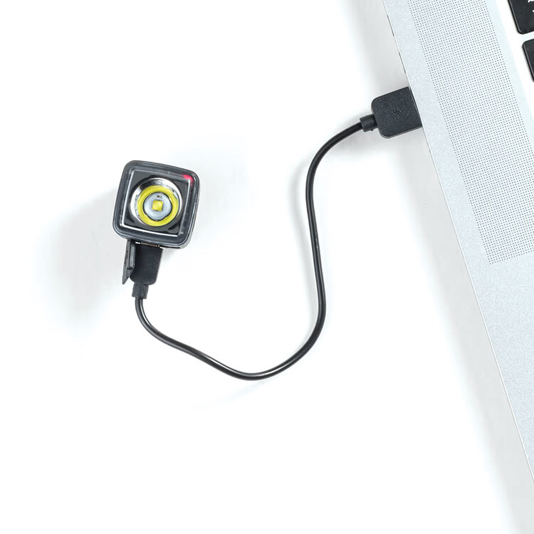 Trek Trek Ion 100 R Fr Light