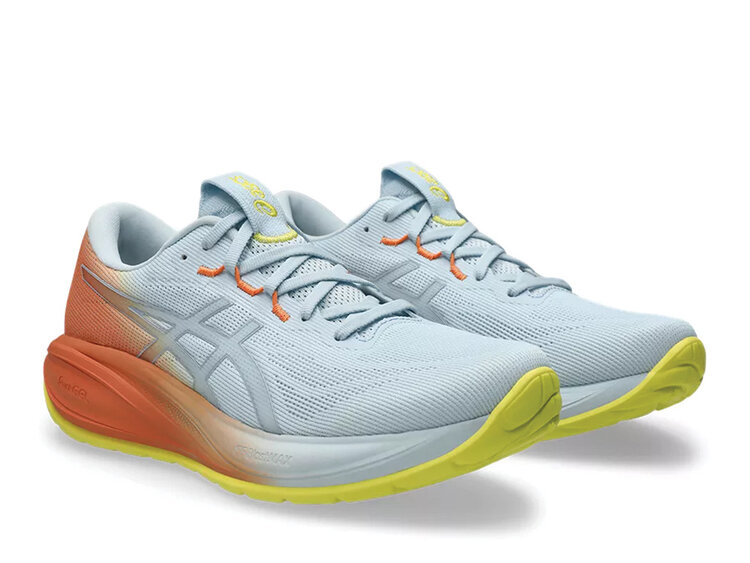 Asics Asics Cumulus 28 Shoe