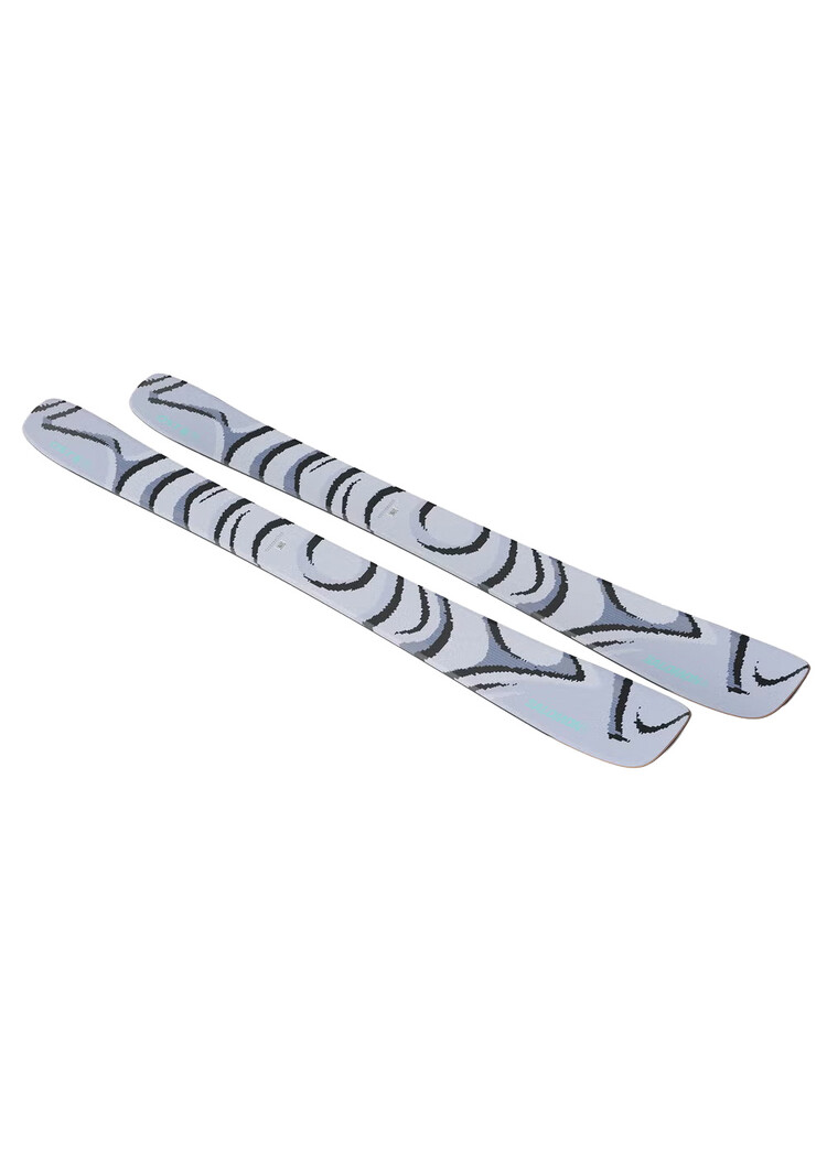 Salomon Salomon QST 100 Skis 2027