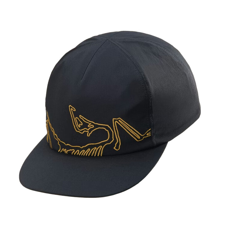 Arc'teryx Arc'teryx Silex Cap