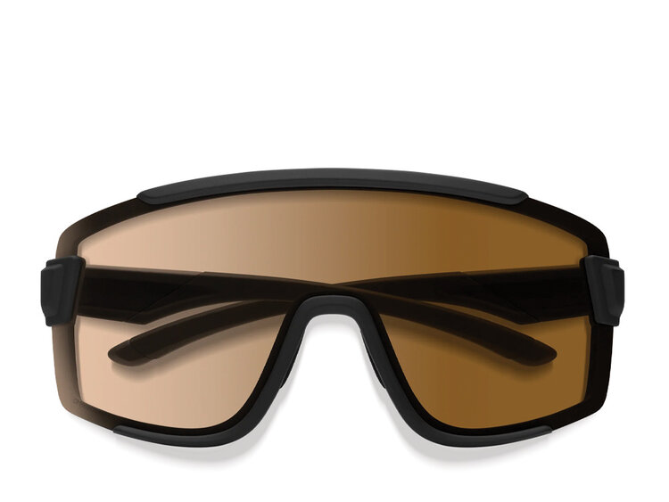 Smith Smith Wildcat Sunglasses