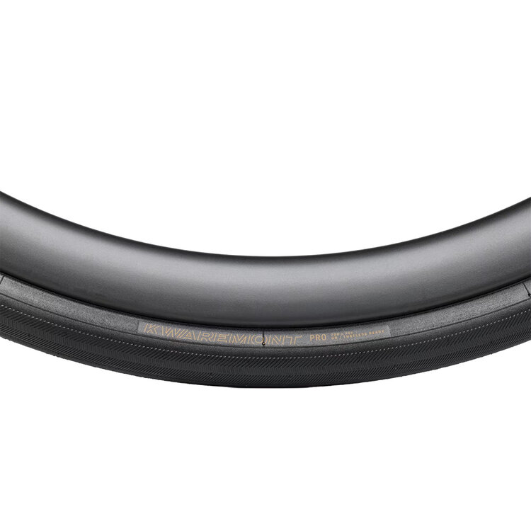 Bontrager Bontrager Kwaremont Pro TLR Road Tire
