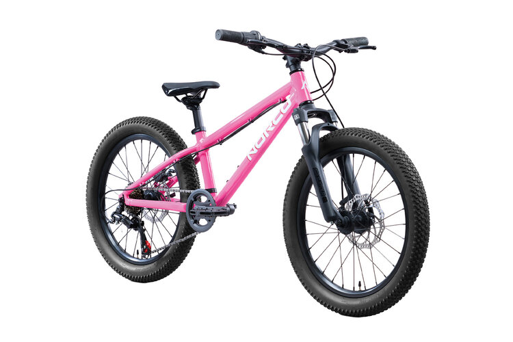 Norco Norco Storm Youth 20 — Kids' Mountain Bike
