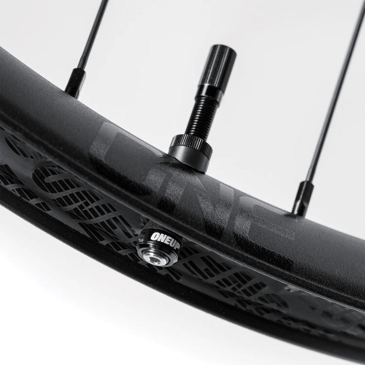 OneUp OneUp Fillmore 55mm — Tubeless Valve