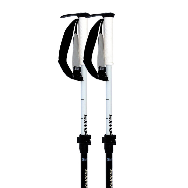 Line Line Paintbrush — Adjustable Ski Poles