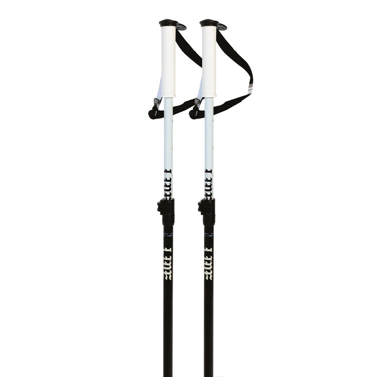 Line Line Paintbrush — Adjustable Ski Poles