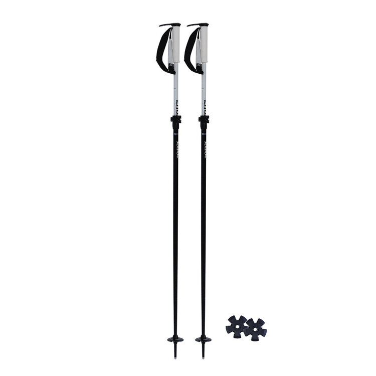 Line Line Paintbrush — Adjustable Ski Poles