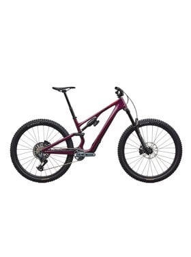 Specialized Specialized Stumpjumper 15 EVO Expert AXS
