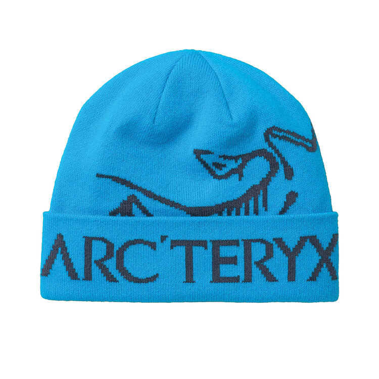 Arc'teryx Arc'teryx Bird Word Toque — Unisex Winter Toque