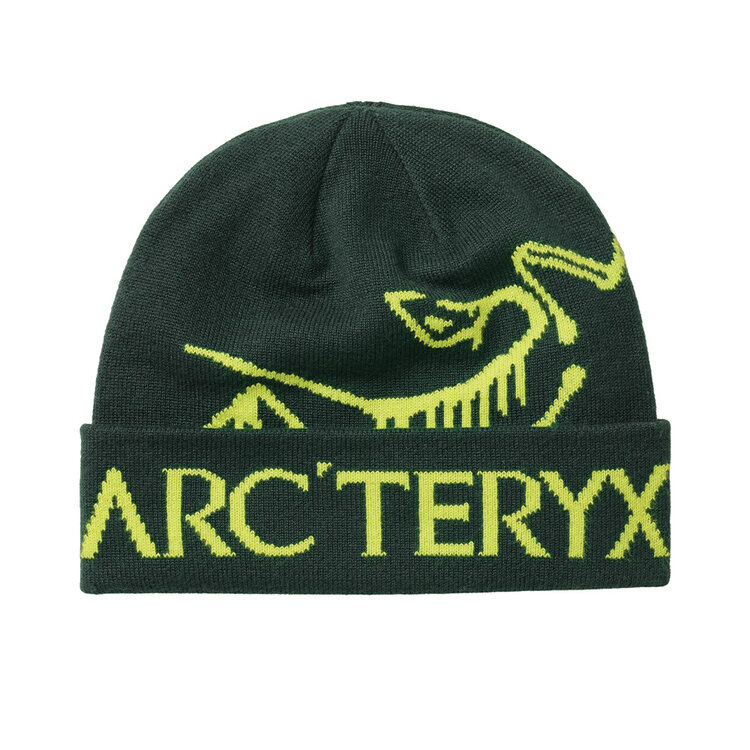Arc'teryx Arc'teryx Bird Word Toque — Unisex Winter Toque