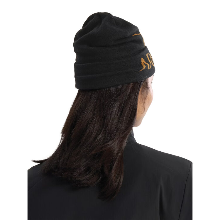 Arc'teryx Arc'teryx Bird Word Toque — Unisex Winter Toque