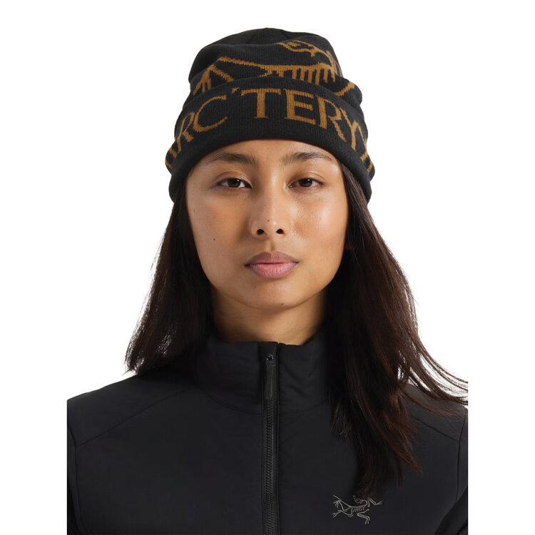 Arc'teryx Arc'teryx Bird Word Toque — Unisex Winter Toque