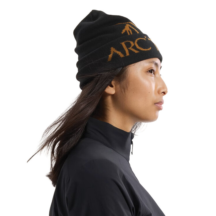 Arc'teryx Arc'teryx Bird Word Toque — Unisex Winter Toque