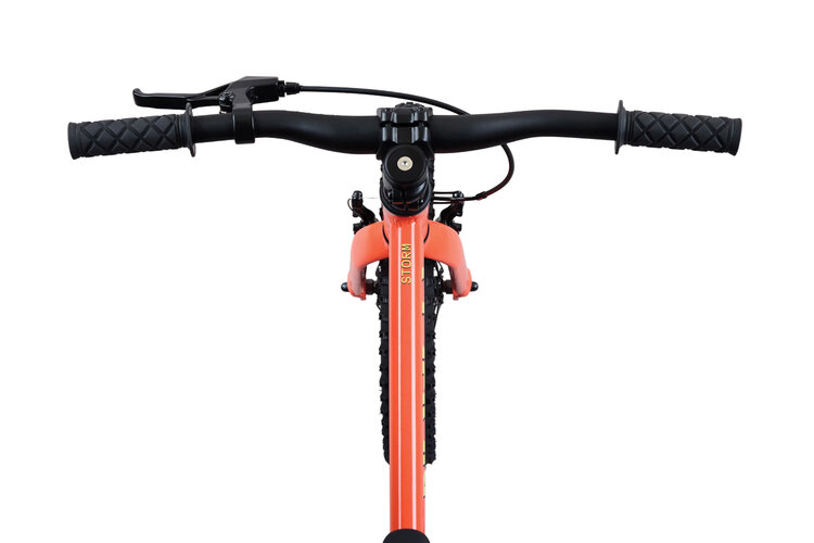 Norco Norco Storm 16 Coaster — Kids' Mountain Bike