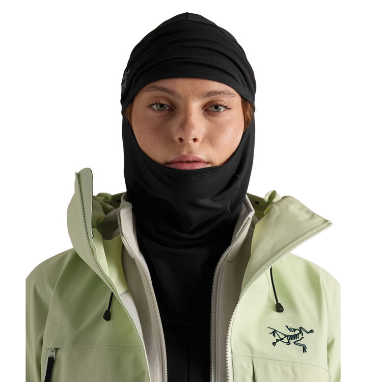 Arc'teryx Arc'teryx Rho Balaclava — Microfleece Ski Balaclava