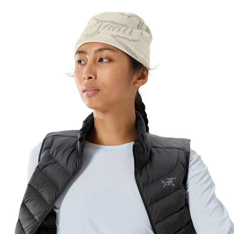 Arc'teryx Arc'teryx Bird Head Toque — Merino Wool Blend Toque