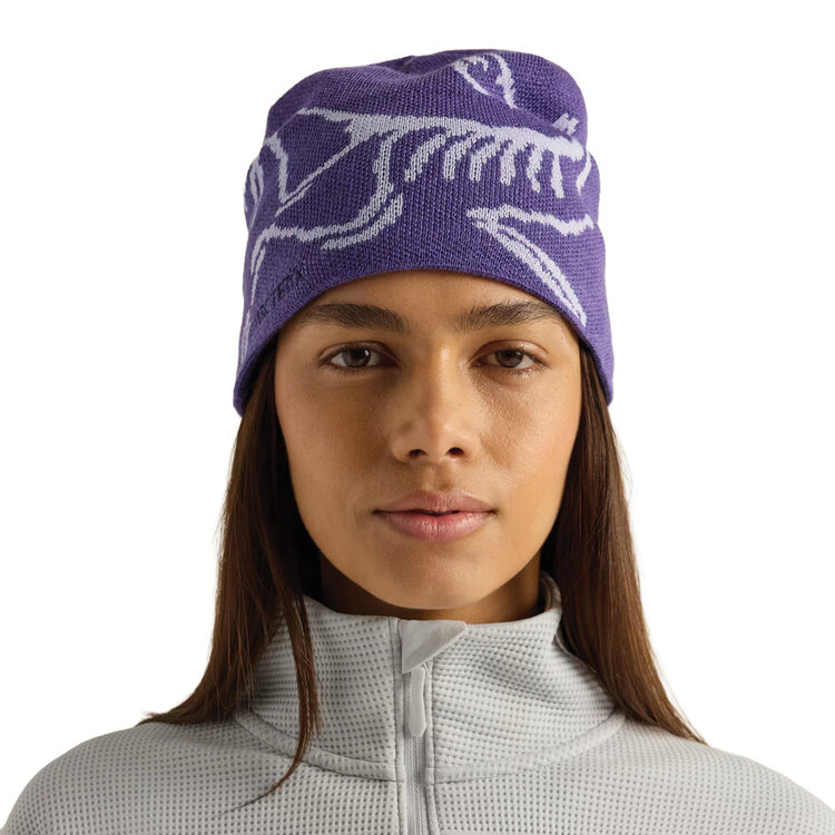 Arc'teryx Arc'teryx Bird Head Toque — Merino Wool Blend Toque
