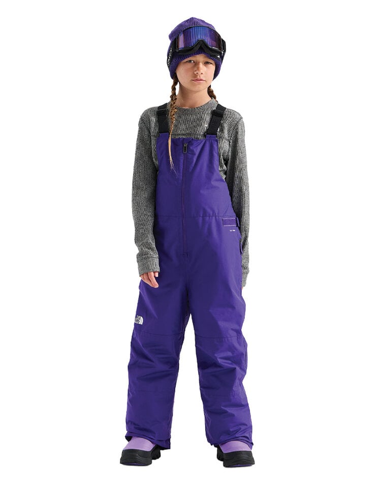 The North Face The North Face Freedom Insulated Bib Pant — Teen Ski