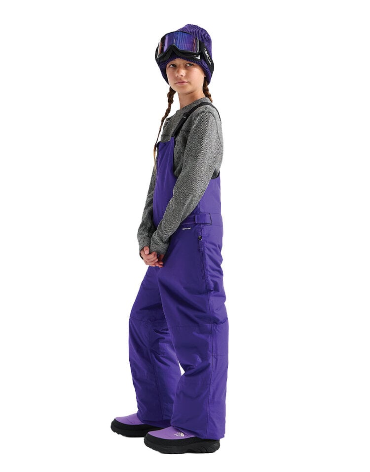 The North Face The North Face Freedom Insulated Bib Pant — Teen Ski