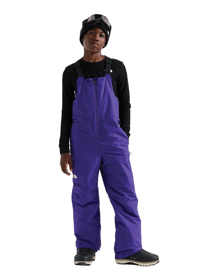 The North Face The North Face Freedom Insulated Bib Pant — Teen Ski