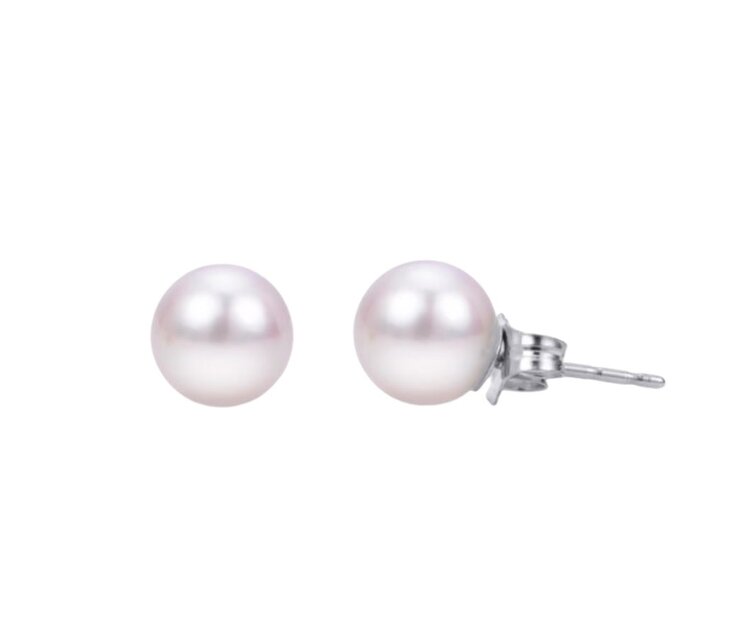 M(R) 14K 6MM AKOYA PEARL STUD EARRINGS