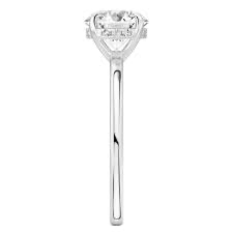 DS DESIGN (Z) 14K 3.05CT LAB E VS1 WHITE GOLD BRIDAL RING WITH .11CTS ON HIDDEN HALO IGI CERT#LG681569854