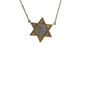 Daniels Jewels Art (R) 14KY .10CT STAR OF DAVID NECKLACE