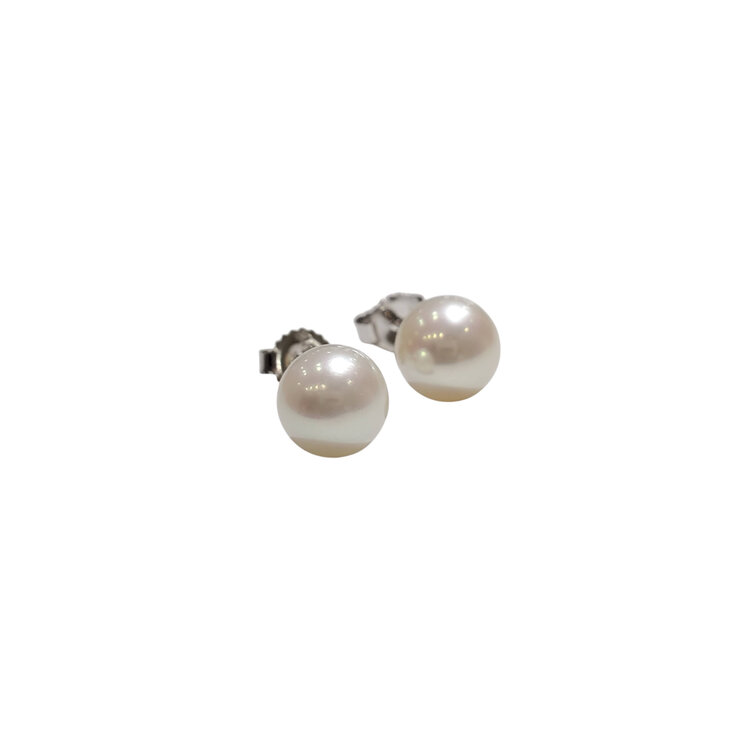 MASTOLONI (R) 14K 7MM AKOYA PEARL STUD EARRINGS