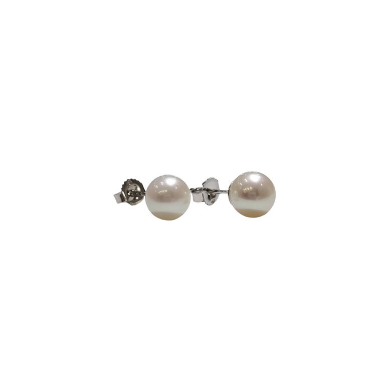 MASTOLONI (R) 14K 7MM AKOYA PEARL STUD EARRINGS