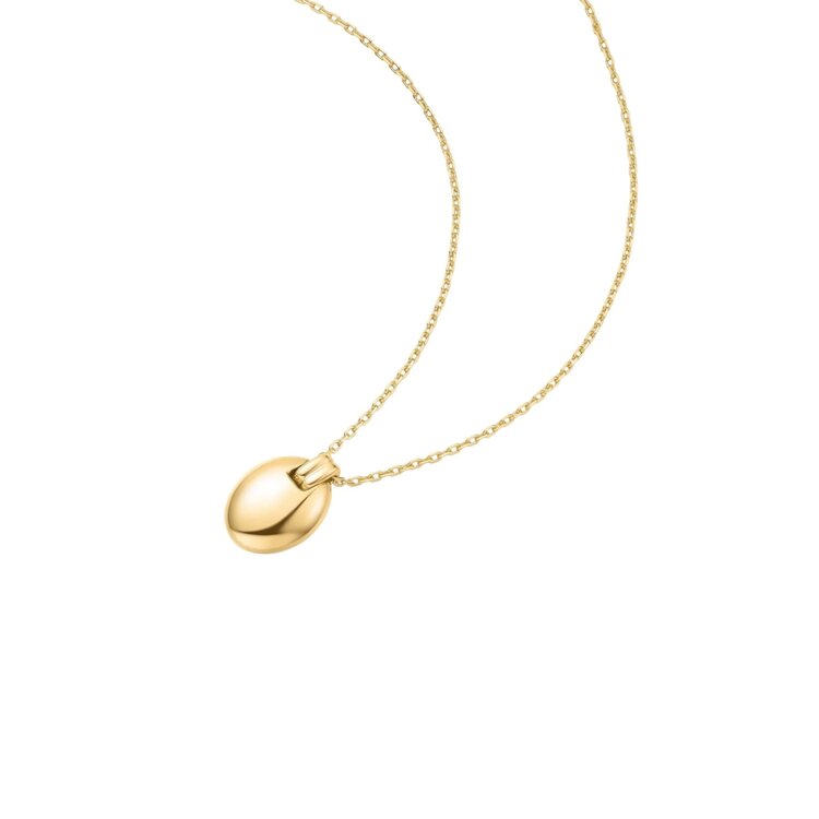 ANIA HAIE Gold Oval Charm Necklace • Material: 925 Sterling Silver with Gold Plating • Necklace length: 450mm with 50mm extender• Weight: 6.2g