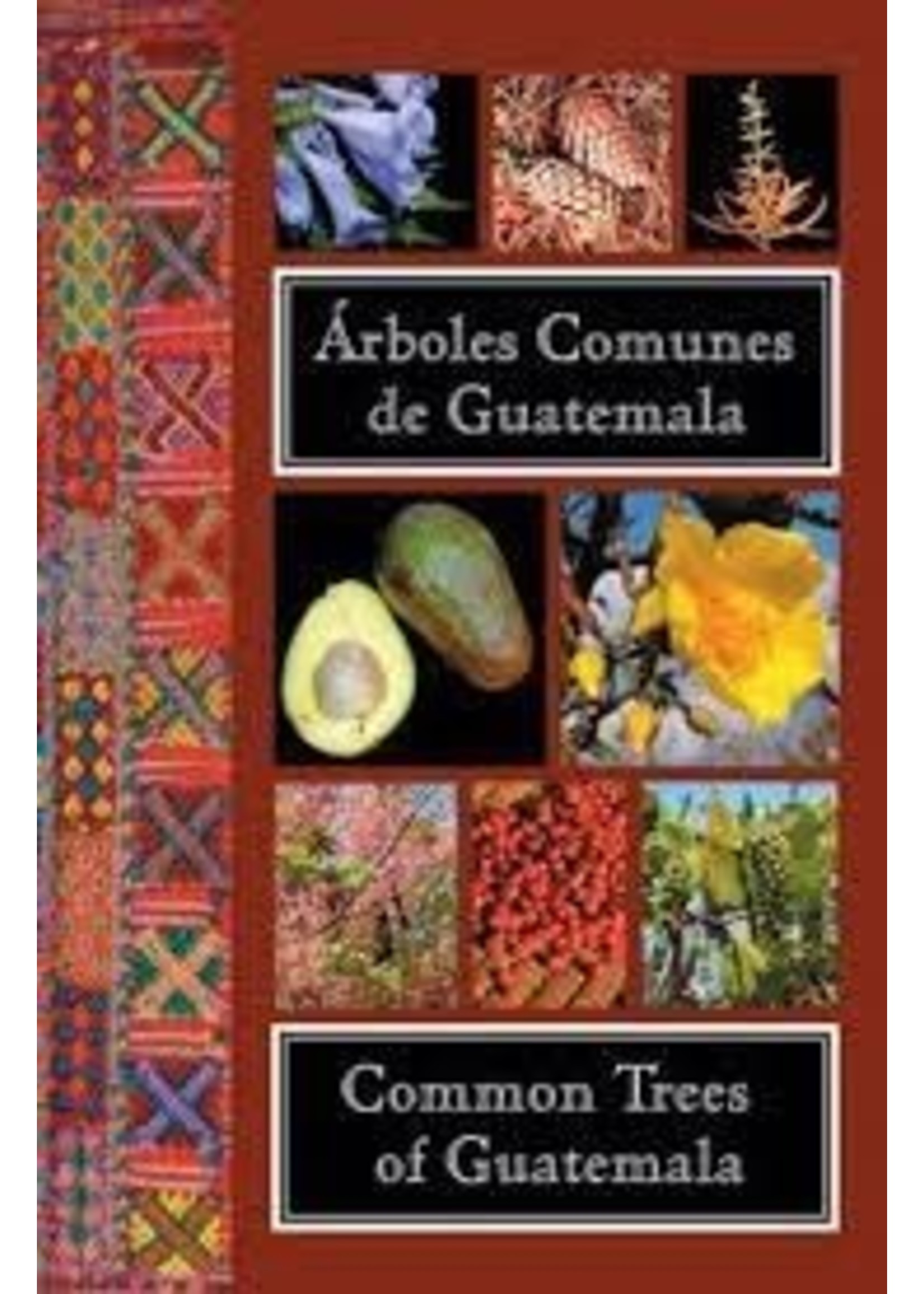 COMMON TREES OF GUATEMALA Arboles Comunes de Guatemala