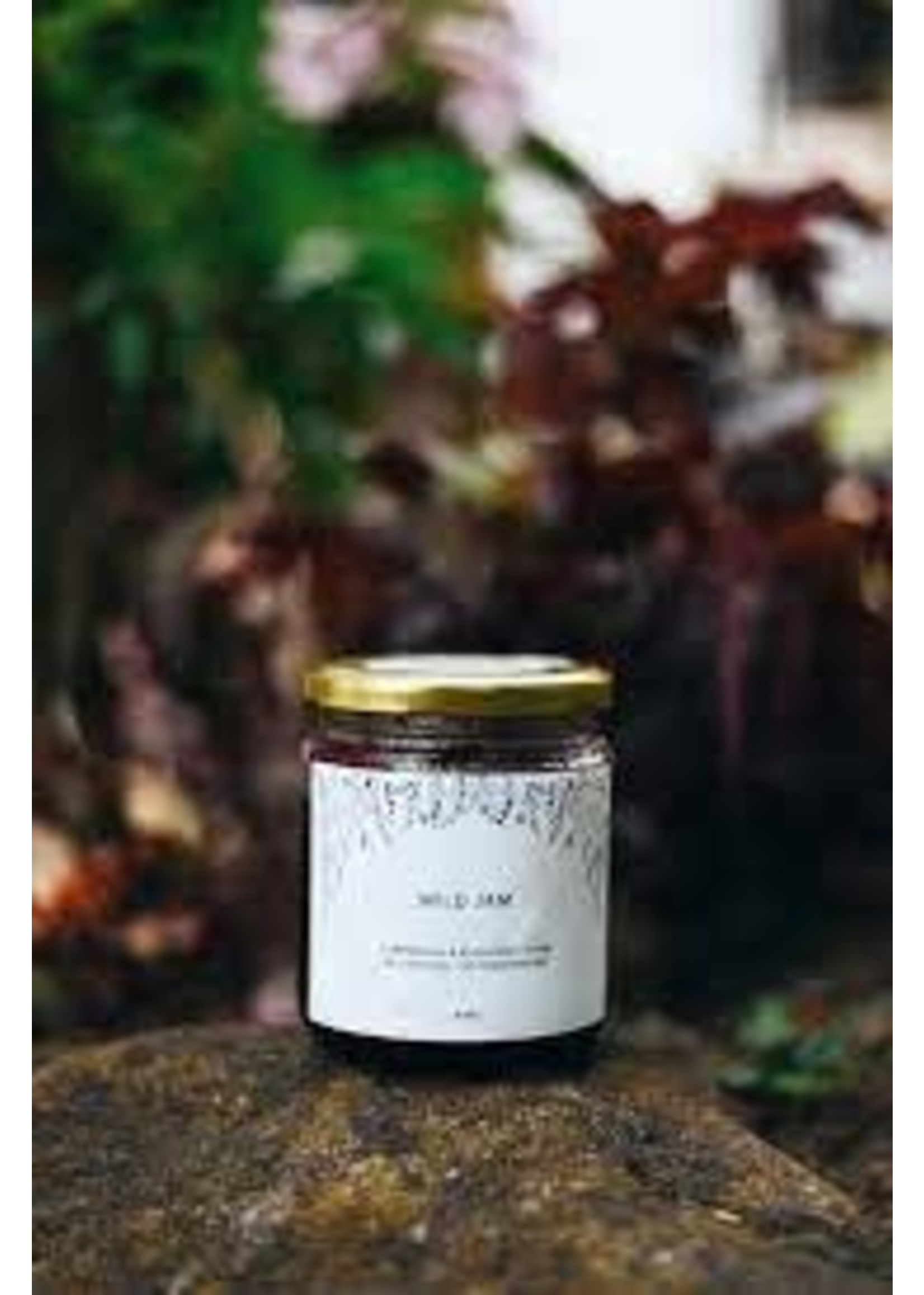 WILD DAUGHTER Wild Jam