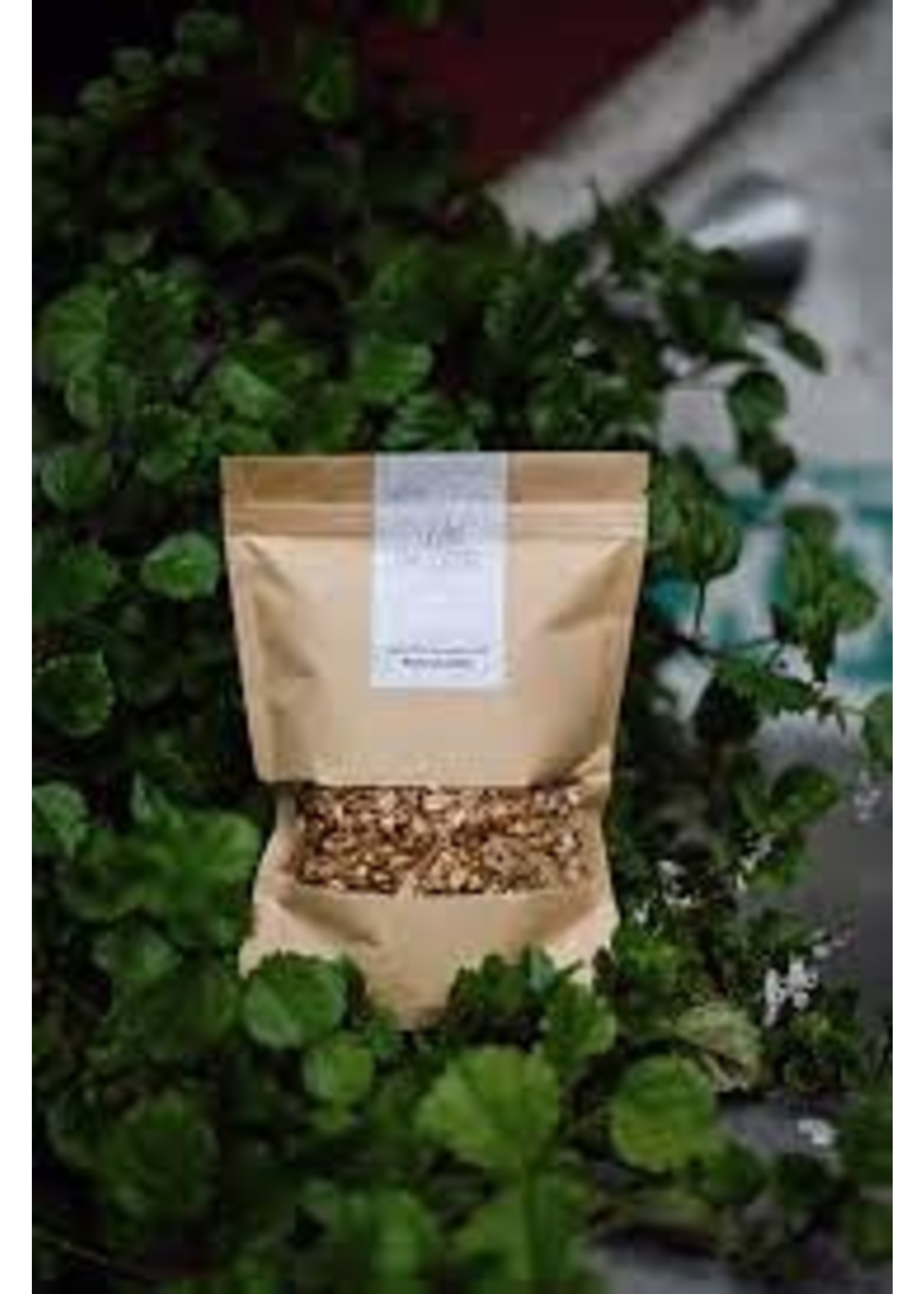 WILD DAUGHTER Wild Granola