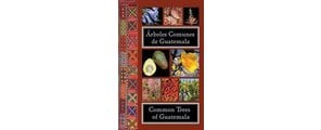 COMMON TREES OF GUATEMALA