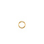 Keeper Hoop Earrings in 10K