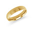 Classic Gold Wedding Band
