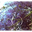 Round Brilliant Cut Solitaire Engagement Ring